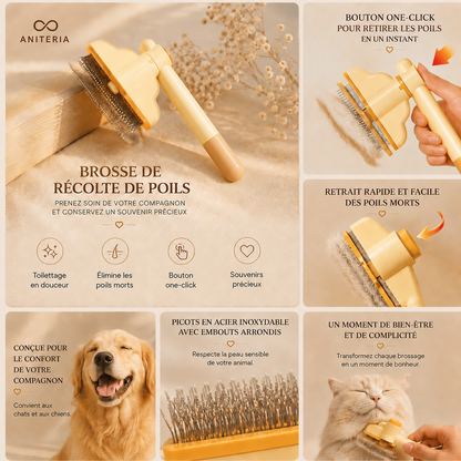 Brosse de Collecte